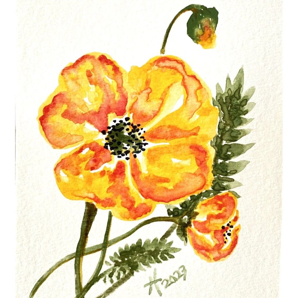 Fire Poppy - Original Wall Art Matted Flower Watercolor Painting 8x10in
